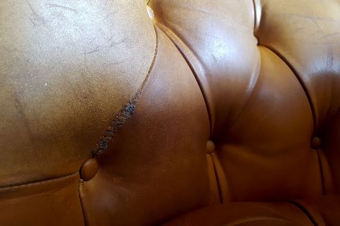 DE SEDE Robert Haussmann 310 Clubchairs