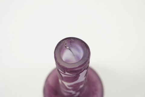 Emile Galle Jugendstil Solifleur Wisteria Vase