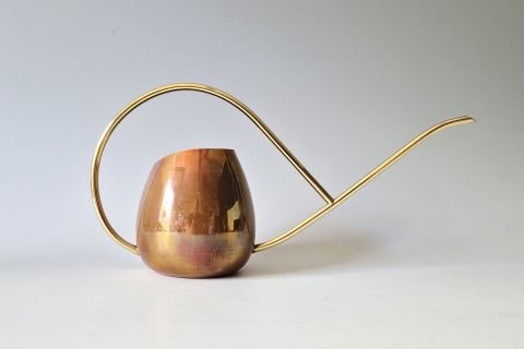 Watering Can Copera Gold 50s