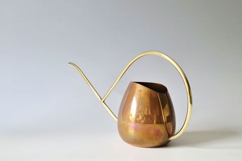 Gießkanne Copera Gold 50s