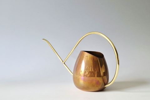 Watering Can Copera Gold 50s