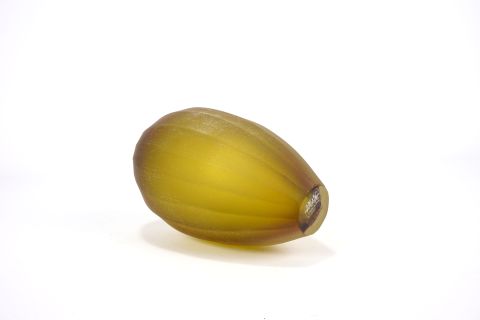 Glass Vase 