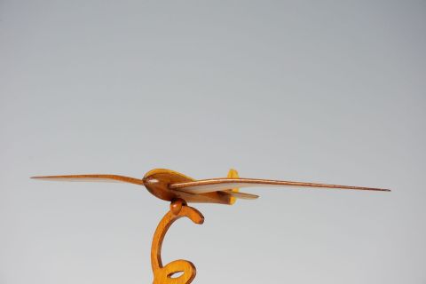 Gottlob Espenlaub Flugmodell - Streamline