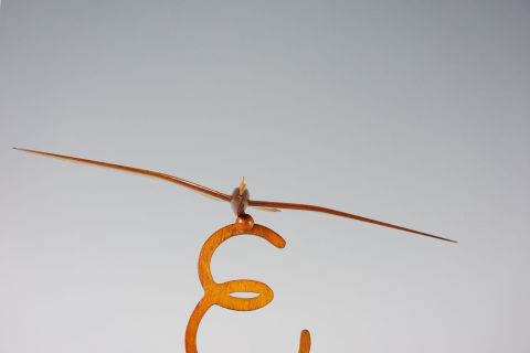 Gottlob Espenlaub Streamline Glider 1930s