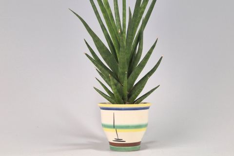Hael Bauhaus Ceramic Cactus Planter