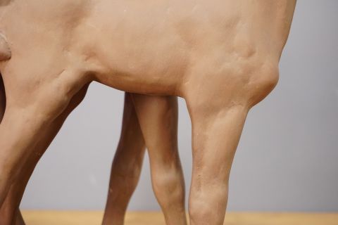 Karlsruhe Majolika 2 Fohlen Pferde