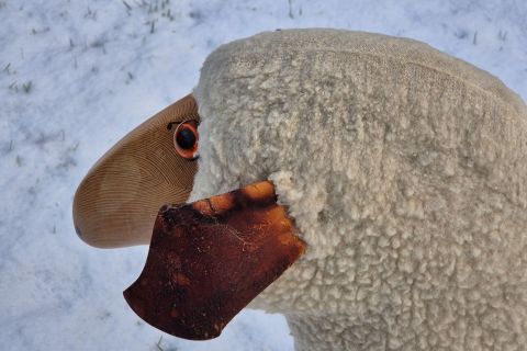 Vintage Krafft / Meier Germany Sheep